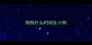 狗狗什么时间生小狗