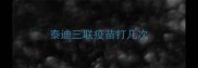 泰迪三联疫苗打几次