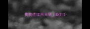 狗狗连续两天早上呕吐