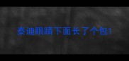 泰迪眼睛下面长了个包