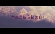 大连巴黎宠物美容
