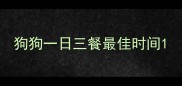 狗狗一日三餐最佳时间