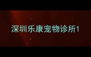 深圳乐康宠物诊所
