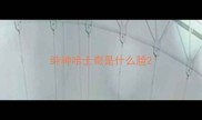 纯种哈士奇是什么脸