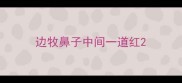 边牧鼻子中间一道红