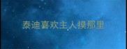 泰迪喜欢主人摸那里