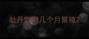 牡丹鹦鹉几个月繁殖