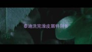 泰迪洗完澡皮屑特别多