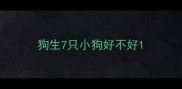 狗生7只小狗好不好