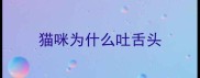 猫咪为什么吐舌头