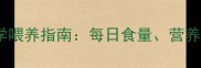 3个月博美幼犬科学喂养指南每日食量营养需求和喂养技巧全