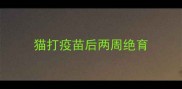 猫打疫苗后两周绝育