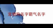 宠物狗名字霸气名字