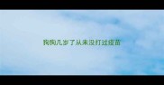狗狗几岁了从来没打过疫苗