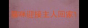 猫咪迎接主人回家