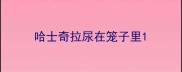 哈士奇拉尿在笼子里