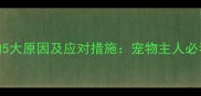 狗狗打喷嚏的5大原因及应对措施宠物主人必看的健康指南