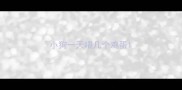 小狗一天喂几个鸡蛋