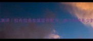 麦顿狗粮测评拉布拉多专属营养配方换毛期掉毛少到震惊
