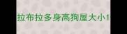 拉布拉多身高狗屋大小