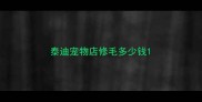 泰迪宠物店修毛多少钱