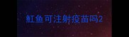 魟鱼可注射疫苗吗