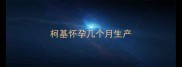 柯基怀孕几个月生产