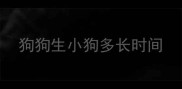 狗狗生小狗多长时间