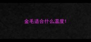 金毛适合什么温度