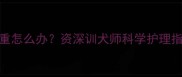 幼犬4-6月龄掉毛严重怎么办资深训犬师科学护理指南附真实案例