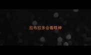 拉布拉多会看眼神