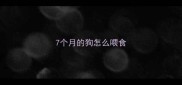 7个月的狗怎么喂食