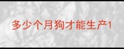 多少个月狗才能生产