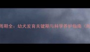 史宾格犬成长周期全幼犬发育关键期与科学养护指南附成长时间表
