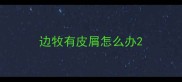 边牧有皮屑怎么办