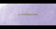 主人晕倒狗狗反应测试
