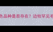 边境牧羊犬黑色品种是否存在边牧罕见毛色及饲养指南