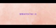 宠物洁牙多少钱一次