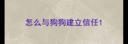 怎么与狗狗建立信任