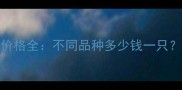 国内宠物犬价格全不同品种多少钱一只附选购指南