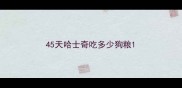 45天哈士奇吃多少狗粮