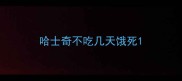 哈士奇不吃几天饿死