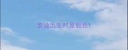 泰迪出生时是貂色