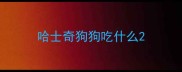 哈士奇狗狗吃什么