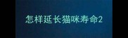 怎样延长猫咪寿命