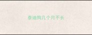 泰迪狗几个月不长