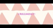 小狗拉出来的虫子