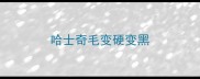 哈士奇毛变硬变黑