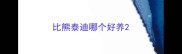 比熊泰迪哪个好养
