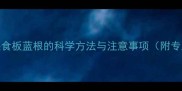 边境牧羊犬喂食板蓝根的科学方法与注意事项附专业喂食指南